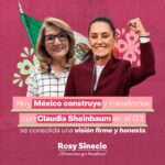 Rosy Sinecio