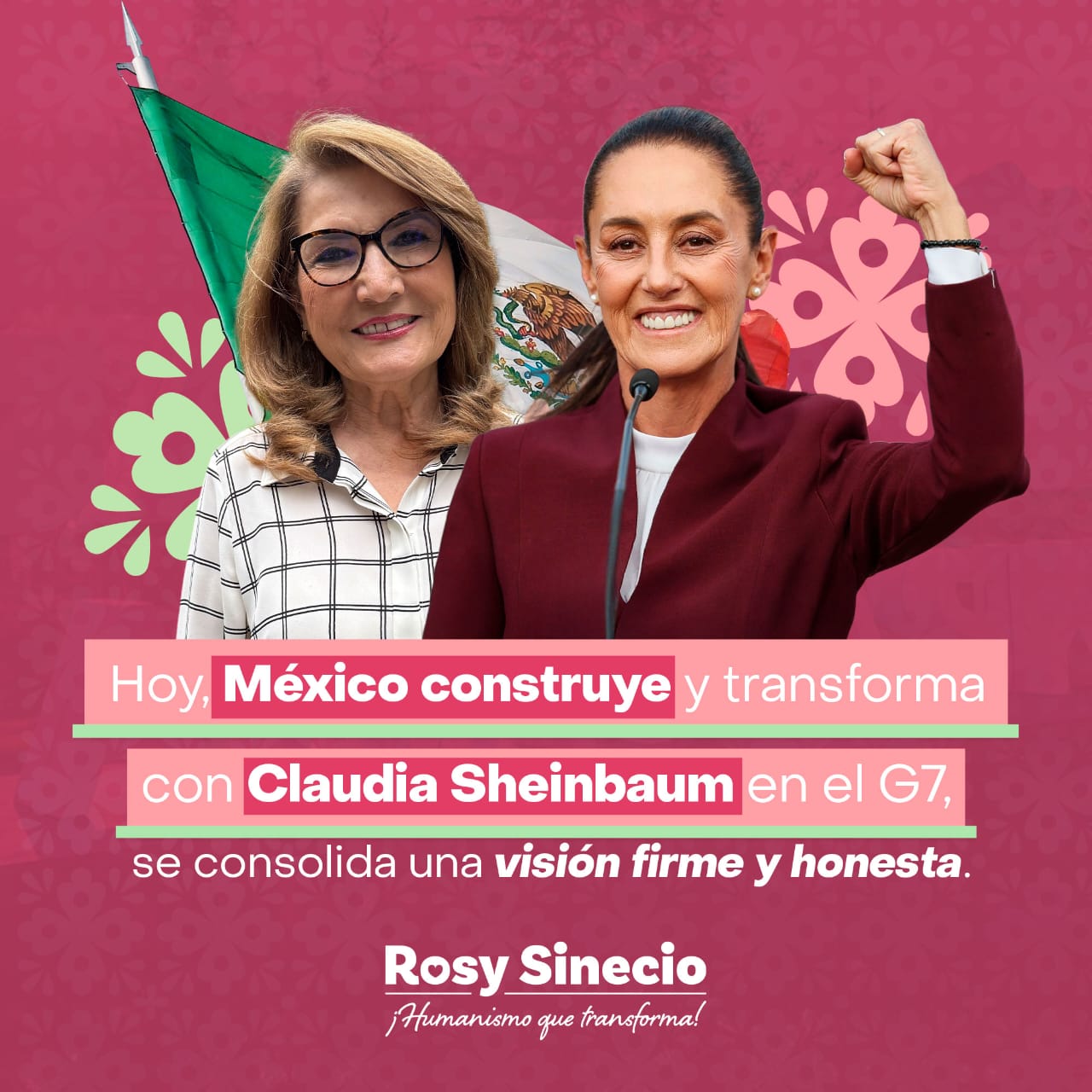 Rosy Sinecio