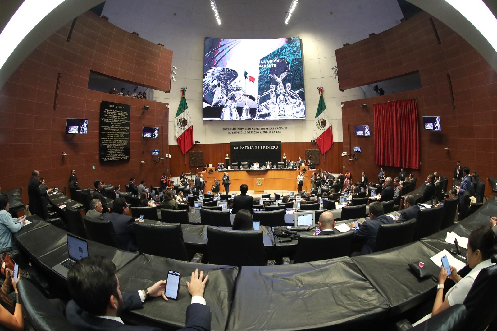 diputados