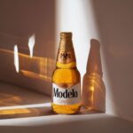 Modelo