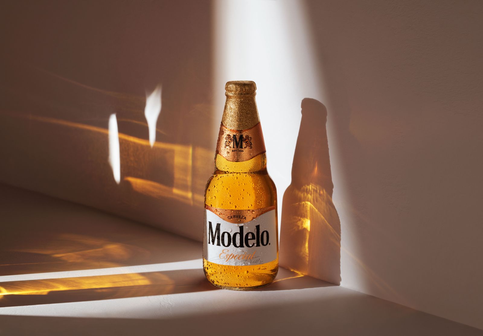 Modelo
