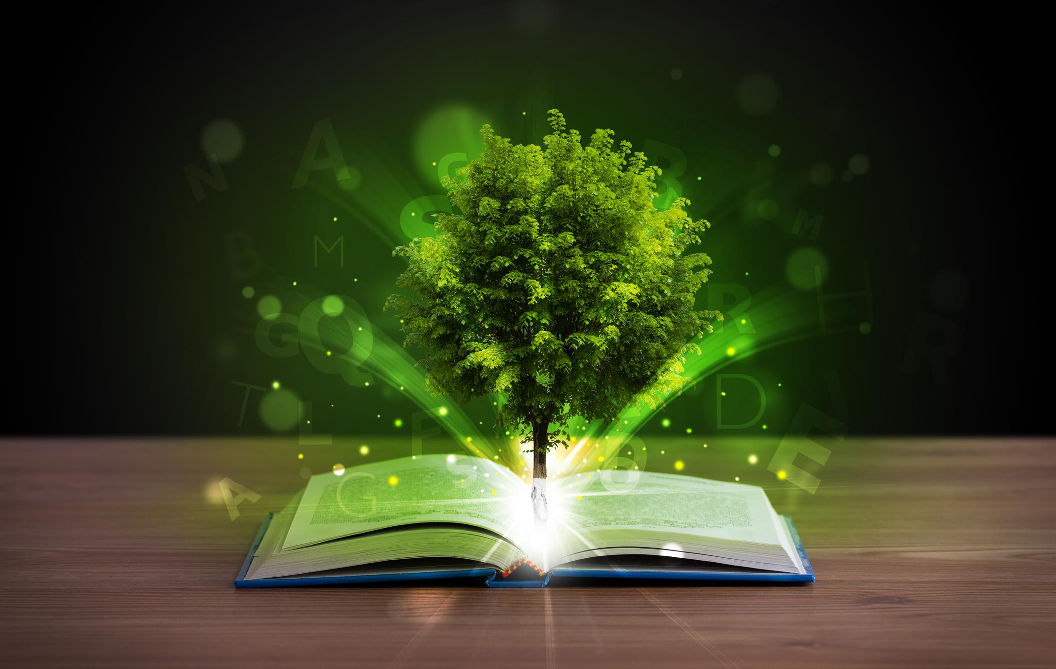 Educacion