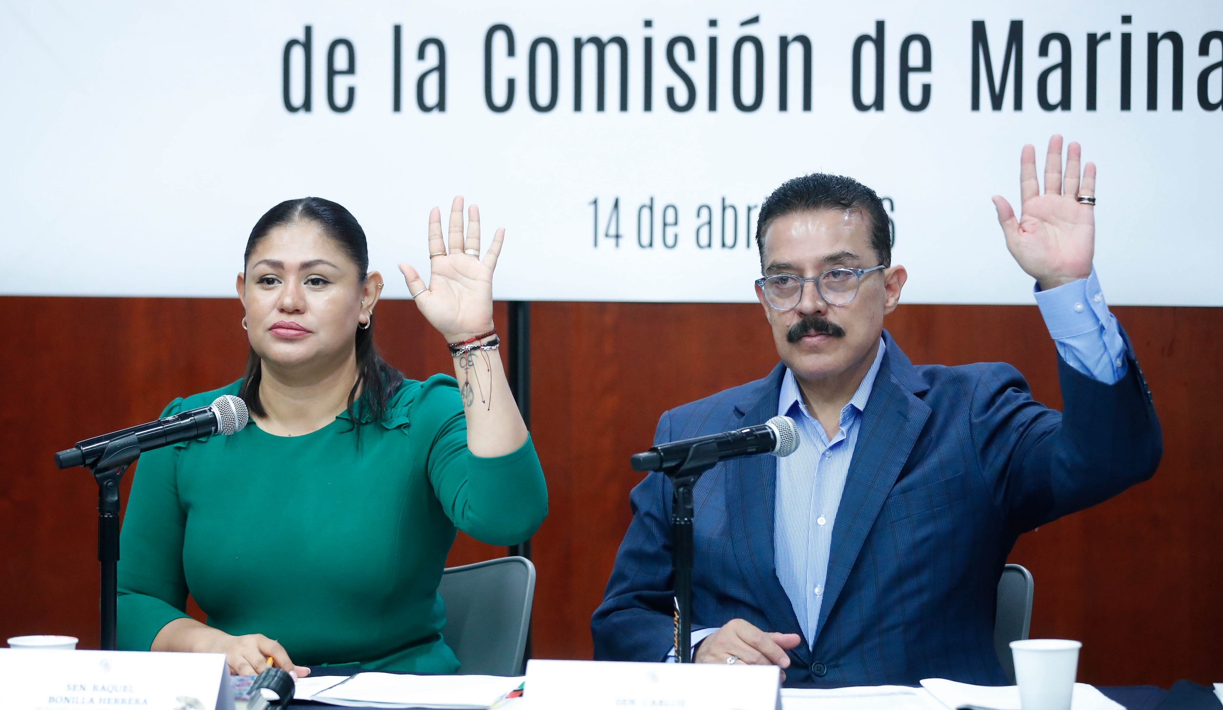 140426_Comision_de_Marina_-4