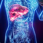 Anatomy_Siemens Healthineers.jpg