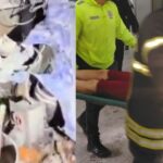 incendio-cuatro-caminos_13_1000x428